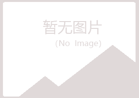 马山区向珊会计有限公司